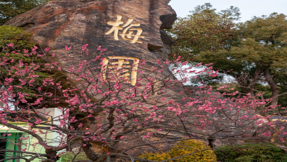 Shanghai departure: Wuxi Plum Garden + Lihu Park private charter 1-day tour
