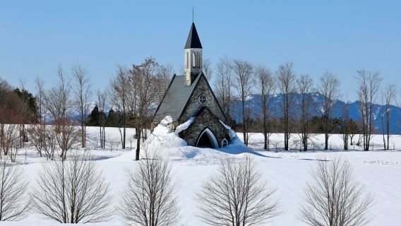 日本札幌-白色戀人公園-札幌電視塔-大通公園一日遊｜明星路線