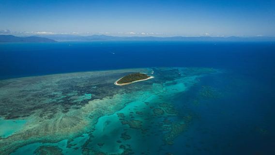 Cairns: Green Island Full-Day Tour with Diving