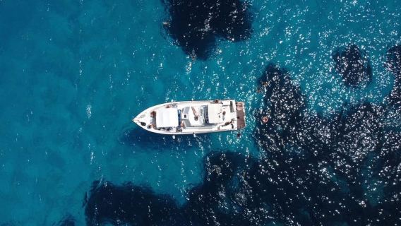 From Trapani: Favignana & Levanzo Mini-Yacht Tour with Lunch