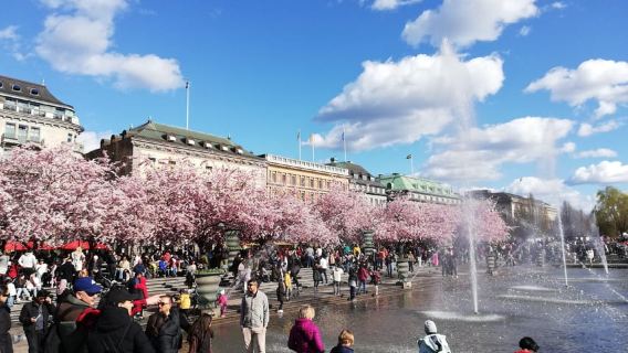 Stockholm: Scandinavian Architecture & Design Ostermalm Tour
