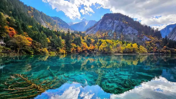 Chengdu departure and return Jiuzhaigou National Park 1-day tour, admission ticket + round-trip high-speed rail ticket included, high-speed railway station pick-up