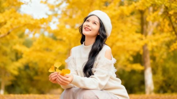 Ginkgo Musim Gugur · Perjalanan Satu Hari Shaoguan Nanxiong + Puncak Maofeng + Gang Kecil Zhuji + Jalur Kuno Meiguan + Pagoda Sanying