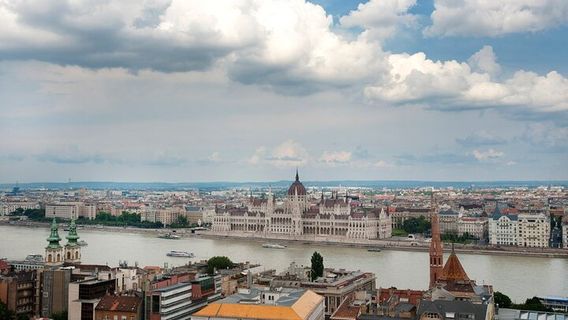 HollokoTours