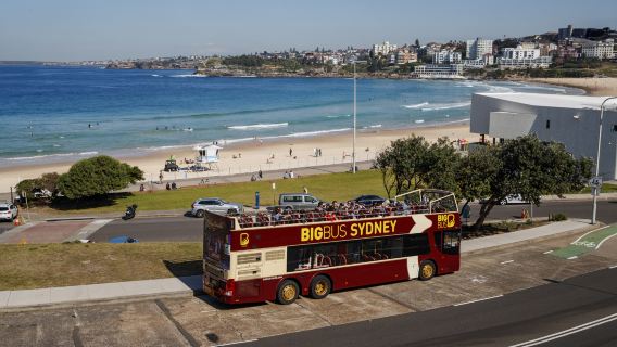 BIG BUS Sydney hop-on hop-off sightseeing bus