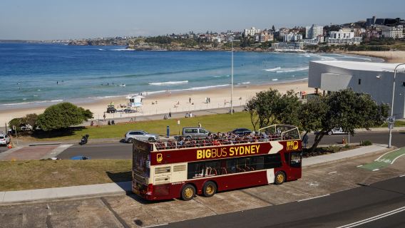 BIG BUS Sydney hop-on hop-off sightseeing bus