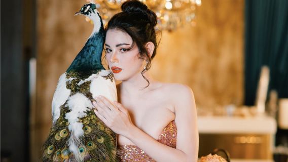 [VIP prime 6 file|Spettacolo di Cabaret Tiffany a Bangkok, Thailandia con omaggio dello spettacolo di serpenti siamesi