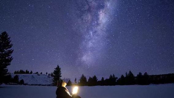 Tour de observación de estrellas con camaleones de Tekapo