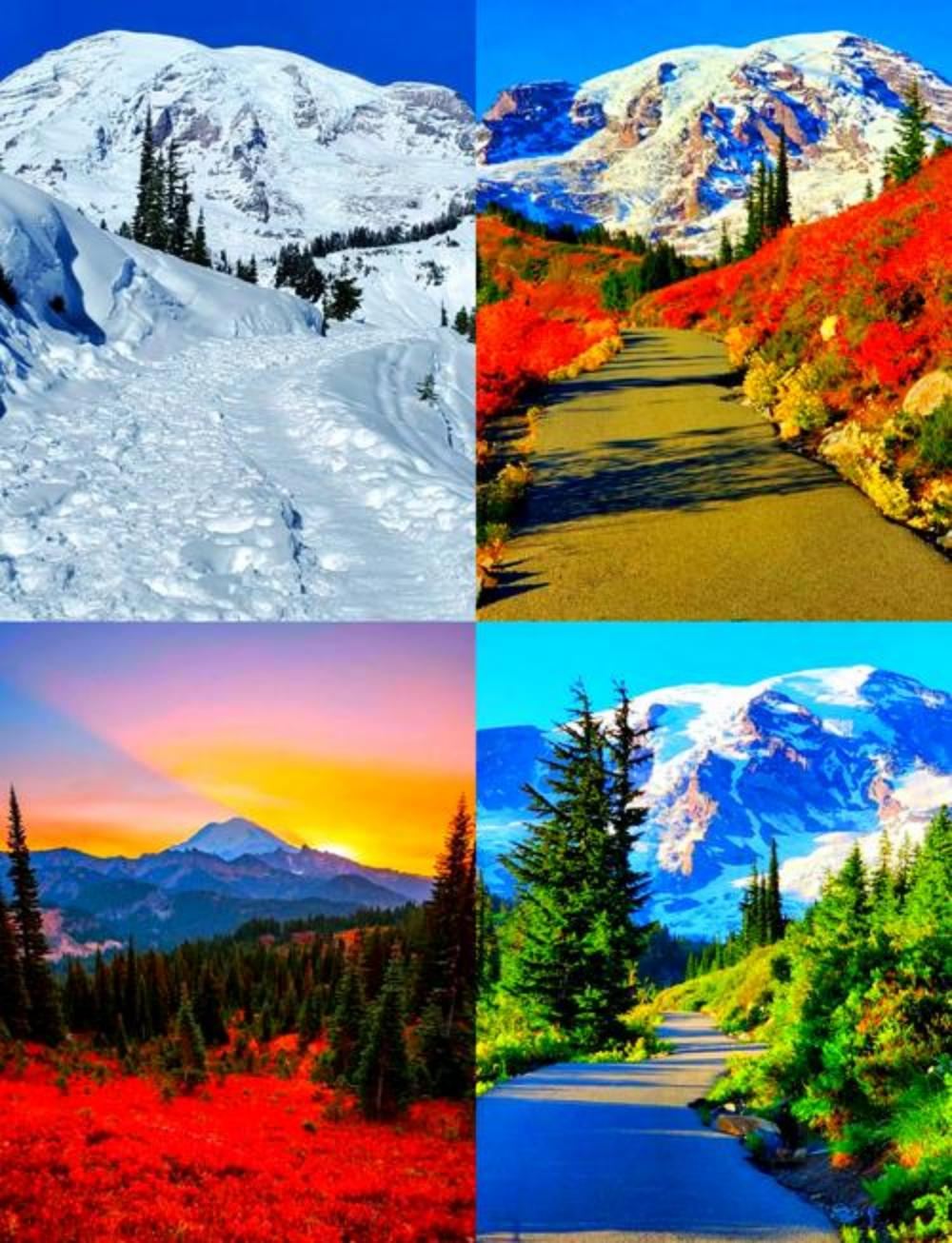 美國西雅圖雷尼爾朗邁爾博物館一日遊/行程可調-可訂製多日