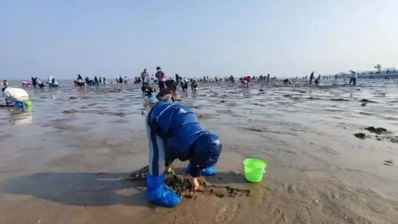 廣東珠海金沙灘趕海體驗【教練帶趕海+提供趕海工具+沖淡水+沙灘休息區】