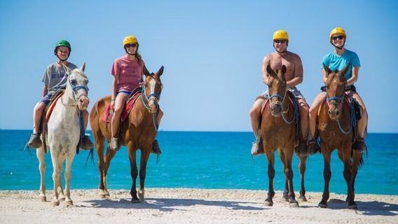 Sharm El SheikhTours