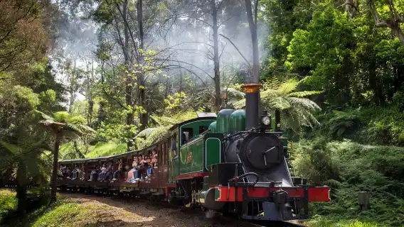 Melbourne Puffing Billy Steam Train + Penguin Island Day Tour [Visit two popular attractions in one day]