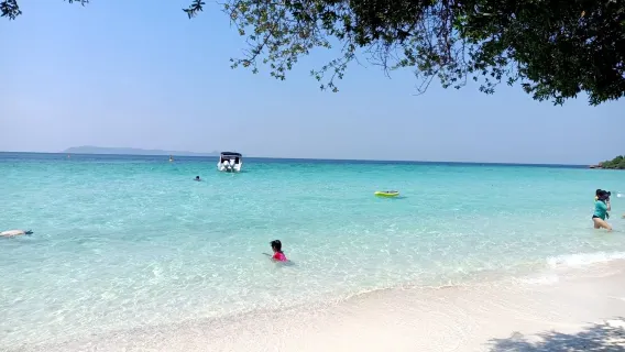 Fra Bangkok: Rejse til Pattaya Ø med strandaktiviteter og dronebilleder