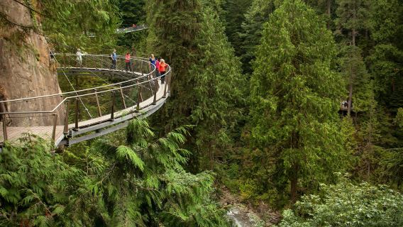 Vancouver: Guided Tour + Capilano Suspension Bridge Park Visit + Lunch