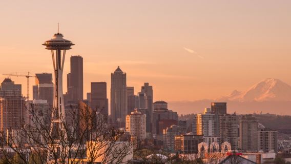Pesan setelah konsultasi / Seattle Space Needle, Taman Nasional Gunung Rainier, Pasar Ikan Pike Place / Bandara / Layanan mobil antar-jemput / Pemandu wisata / Layanan mobil pribadi