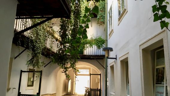 Wien: Verborgene Schätze in der Nähe von St. Stephan und der Alten Universität