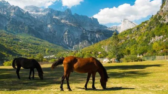 tour giornaliero a Theth da Tirana, Durazzo e Scutari