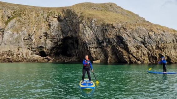 Stackpole Quay: Paddle Boarding Tour
