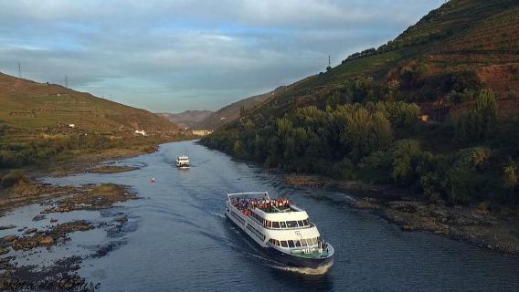 Crociera panoramica sul Douro da Régua a Pinhão