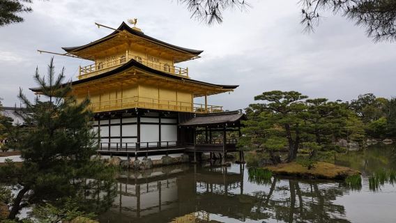 Recorrido a pie de día completo por Kioto: lugares emblemáticos y monos