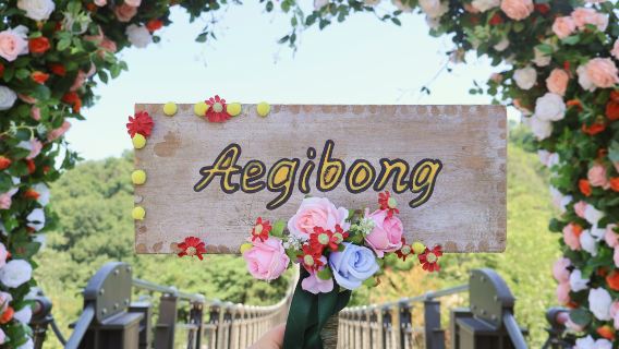 Antara Perbatasan dan Perdamaian | Tur Setengah Hari Aigibong DMZ
