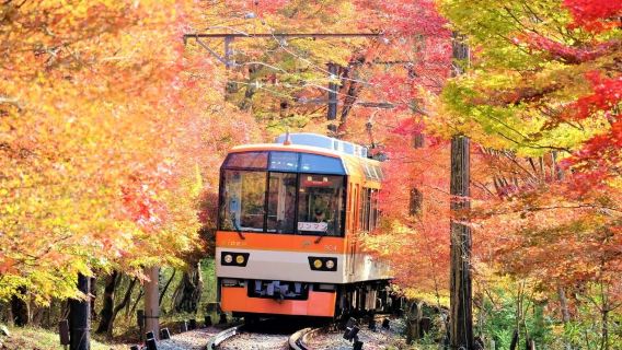 Biglietto giornaliero per il tram Eizan a Kyoto Ee Kippu
