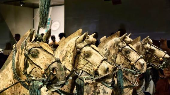 【8-15人獨立導覽】秦始皇帝陵博物院(兵馬俑)秦始皇帝陵博物院-麗山園/華清宮3種玩法/漢服妝造