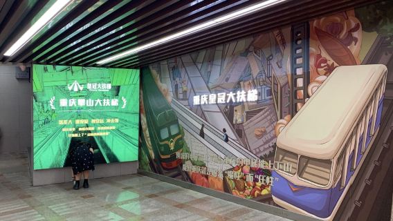 однодневный тур по достопримечательностям Чунцина|Чистая эссенция|Только развлечения (опционально с англоговорящим гидом)