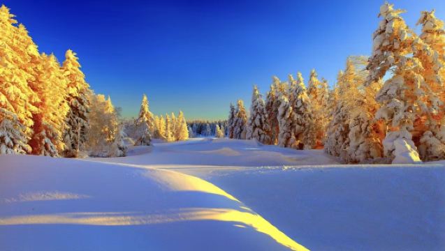 【冰雪風情】二道或延吉起止 雪嶺/老里克湖一日遊 2-6人