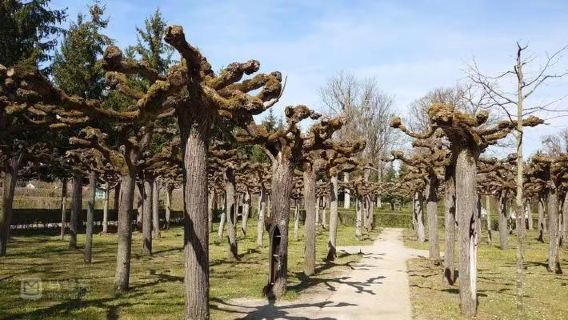 Jembatan Utama Tua Würzburg + Istana Würzburg + perjalanan satu hari ke Katedral St. Kyrian