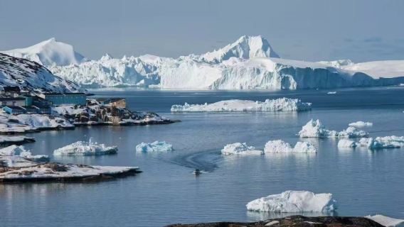 Tagesausflug mit Bootsfahrt im Eisfjord von Grönland, Dänemark · Englischsprachige Tour