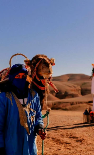 1-day tour to Agafay desert and Atlas mountains from Marrakech, Morocco with camel ride