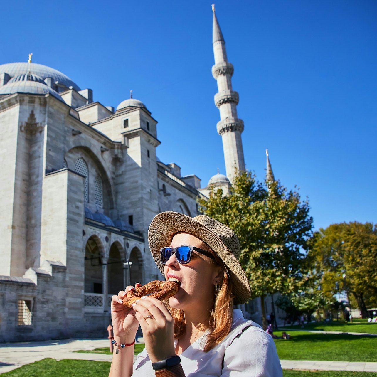 Hagia Sophia, Blue Mosque & Suleymaniye Mosque: Small Group Walking Tour