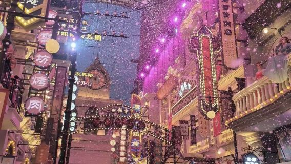 Tour privato di Shanghai: Tempio del Buddha di Giada + Bund + Via Nanchino + Parco Romantico di Shanghai