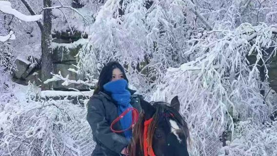 Харбинский парк снежного катания «Чёрный лев» | Фото с летающими лошадьми · Катание по снежным лесам и полям · Сопровождение профессиональных инструкторов