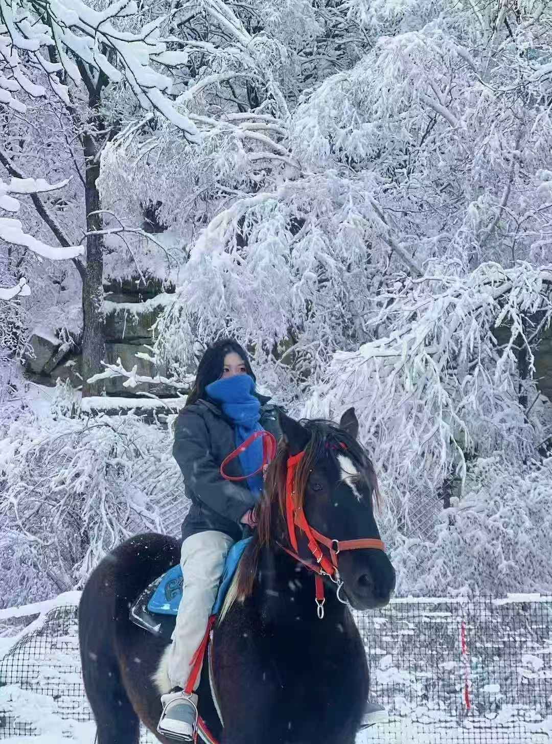 Harbin Black Lion Forest Snow Ride Park | Fotoshooting mit fliegenden Pferden · Radfahren durch schneebedeckte Wälder · Begleitung durch professionelle Trainer