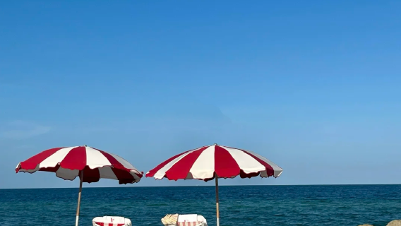 美國邁阿密經典一日遊｜小哈瓦那+維茲卡亞博物館及花園+南海灘