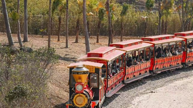 清遠長隆長頸鹿城堡1晚/2晚森林王國/溫泉樂園無限暢玩+美食+表演套票可選/森林大自駕/晚餐套票含園內接駁車