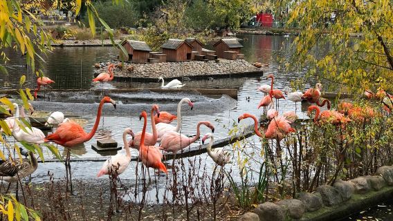 Moskauer Zoo + Tretjakow-Galerie + Raumfahrtmuseum + Arbat an einem Tag