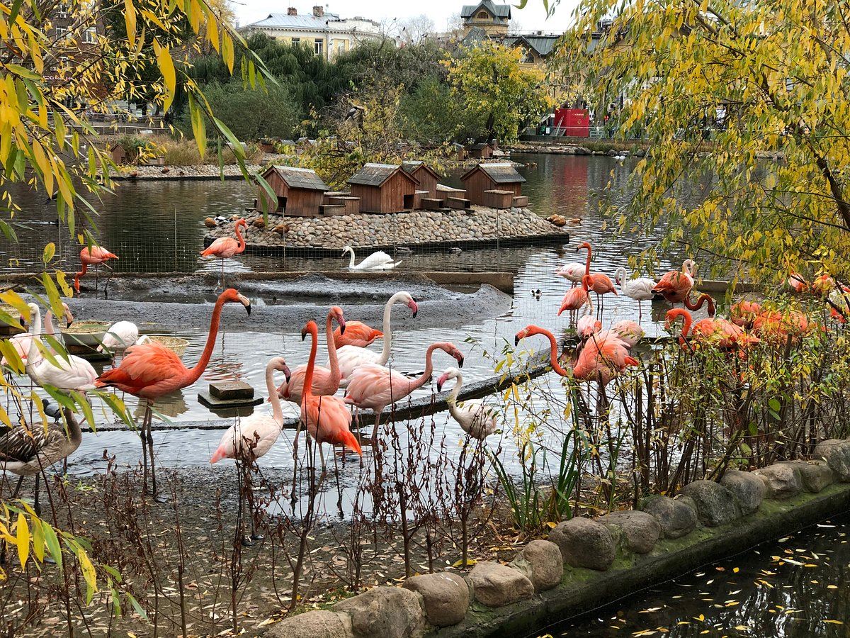 Moscow Zoo + The State Tretyakov Gallery + Space Museum + Arbat Street One-Day Tour