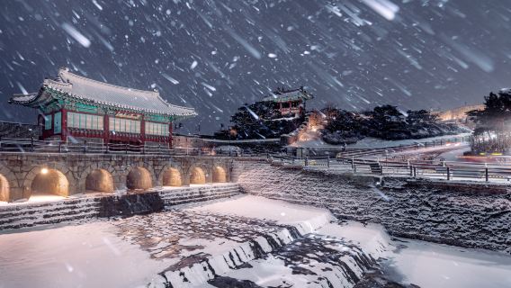 Korean Folk Village & Suwon Hwaseong Fortress + Nammun MarketOne Day Tour (From Seoul)