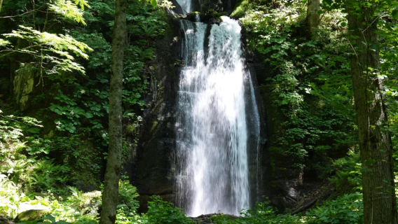 日本・青森の秘境|八甲田山-奥入瀬渓流-十和田湖一日満喫ツアー