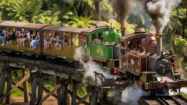 Melbourne 1-day tour by Mercedes-Benz minivan - Brighton Bathing Boxes + Moonlit Sanctuary Wildlife Conservation Park steam train + Penguin Parade