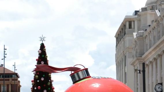 [Auckland City Landmarks Tour] 10-Hour Private Chartered Tour to Maungakiekie / One Tree Hill, Sky Tower, and Queen Street