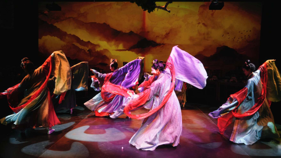 Hangzhou: Song Dynasty Feest met Hanfu Kostuumverhuur