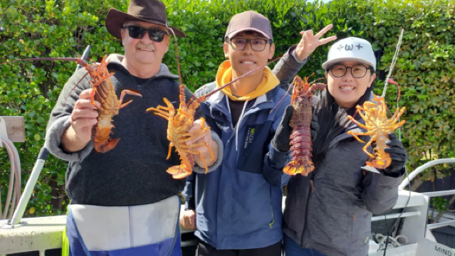 Pesca en alta mar y captura de langostas en Kaikoura, Nueva Zelanda - Opciones de 2 o 3 horas con Tomo