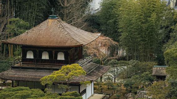 京都一日遊：銀閣寺-哲學之道-永觀堂-南禪寺-祇園花見小路