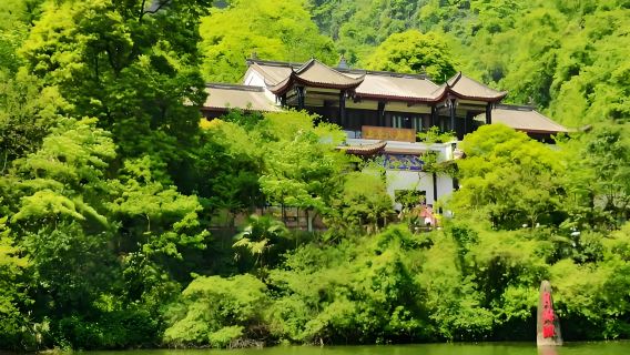 【成都夏の避暑】青城山プライベートガイド付き日帰りツアー 青城山の天下無双の静寂を体感！