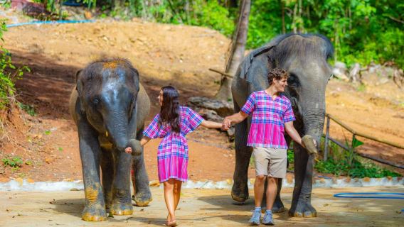 Phuket Fil Kucaklama Koruma Kampı Sürükleyici Etkileşim Deneyimi (Besleme Etkileşimi + Doğal Kamp + Sıfır Mesafe Teması)