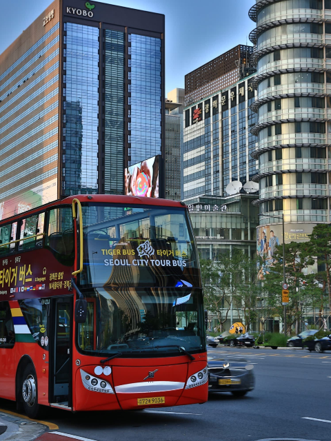 首爾城市觀光夜景巴士之旅